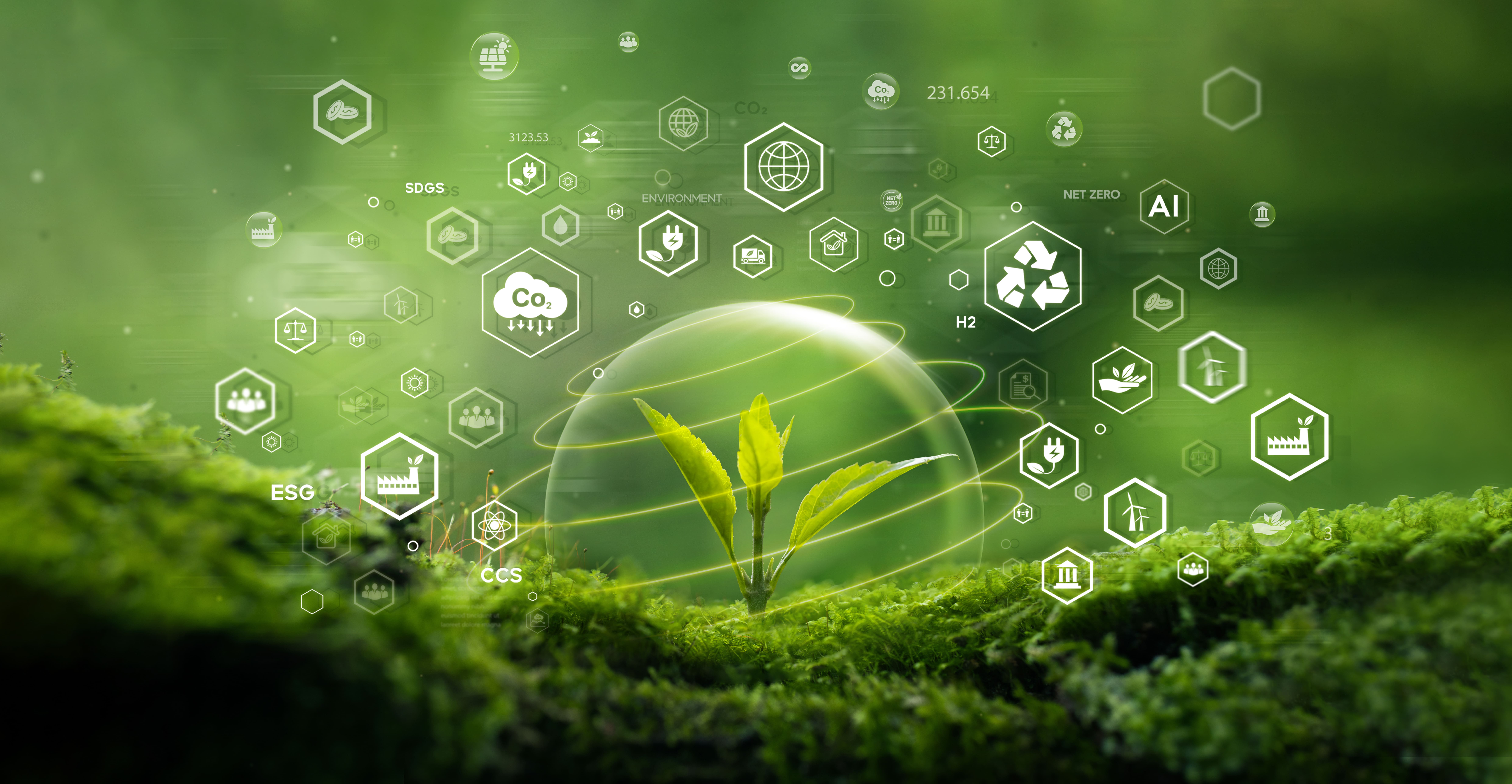 Struttura di regia energetica